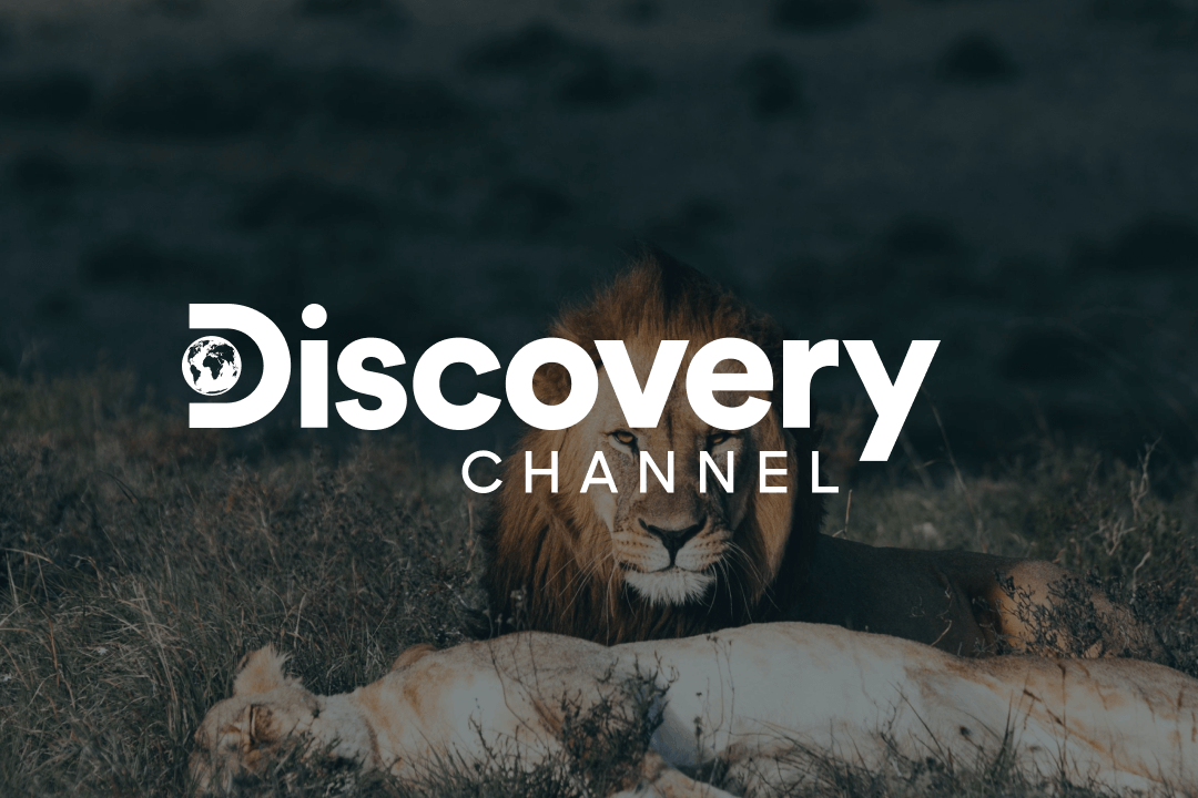 Discovery Channel